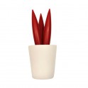Trivet - SPICY CEREUS - Legnoart