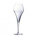 4 Sparkling wine glasses - AROM UP - 21 cl - Chef & Sommelier