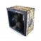 Money box - DONUTHING - Whaa Whaa