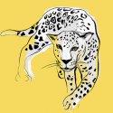 Paper towel - GRAPHIC LEOPARD - 33x33cm