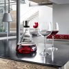 Decanter for wine - DELTA - Blomus